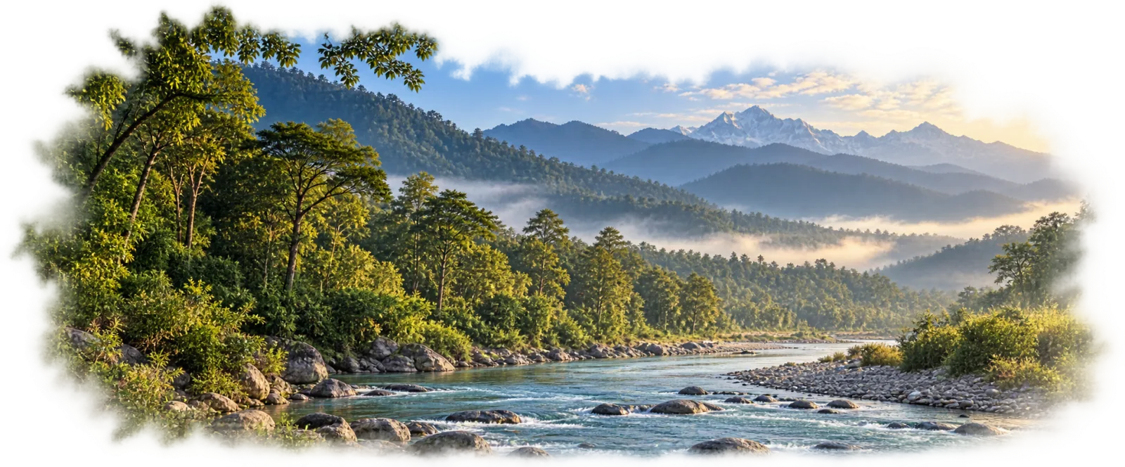 Forest and river landscape near the Jim Corbett region